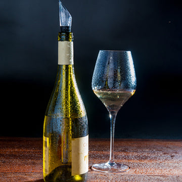 Wine Bottle Cooler Stick Stainless